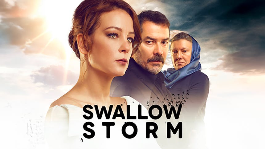 Swallow Storm